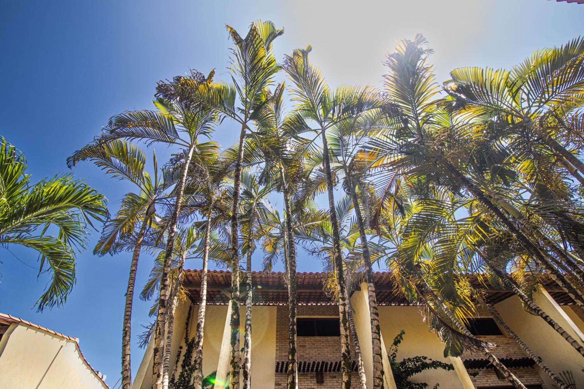 Condominio Solar Pipa - Apartamento Economico, Sem Varanda Praia de Pipa Eksteriør bilde